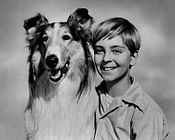 Tommy Rettig starred as Jeff Miller during the early years of the series (1954-1957), which were syndicated as Jeff's Collie Lassie Tommy Rettig Circa 1955.jpg