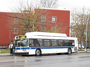 MTA Bus Company New Flyer C40LF (2011).jpg