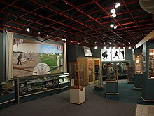 Collections of baseball photos, trophies and equipment in display cases