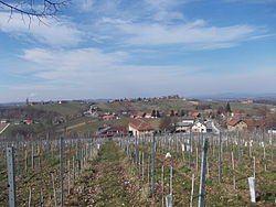 View of Radenski Vrh from Kapelski Vrh