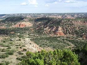 Vue du canyon de Palo Duro en juillet 2008.