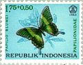 Selo postal da República da Indonésia com ilustração de Papilio blumei, ano de 1963.