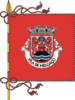 Bandera de Melgaço