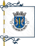 Vila Nova de Paiva bayrağı