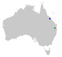 Distribución de Rheobatrachus silus (verde) e Rheobatrachus vitellinus (azul).
