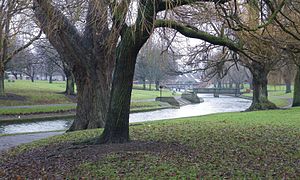 The park in December