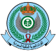 Королевские военно-воздушные силы Саудовской Аравии embelm.svg