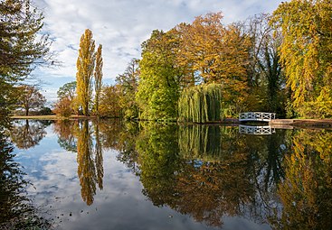 Le grand étang dans le parc du château de Schwetzingen. Novembre 2018.