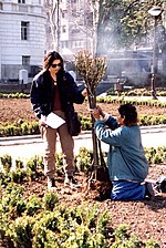 Садња ружа стаблашица у парку Ћирило и Методије (1. мај 1996).