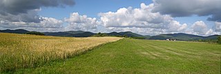 Blick von der Medebacher Schiefen Ebene auf die „Skyline“ der Hohen Seite mit Stemmberg (572,2 m, Hallenberger Hügelland), Bollerberg (757,9 m), Winterkasten (662,5 m), Reetsberg (791,6 m) und Schlossberg (790,8 m)