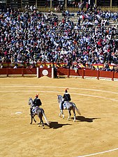 A corrida bevonulását egy vagy két 16. századi ruhába öltözött lovas alguacil (törvényszolga) vagy alguacilillo vezeti[43]