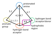 Pharmacophore model