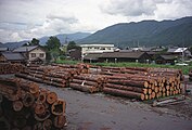 駅構内（1995年、木材置き場）