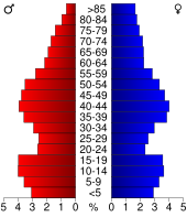 Bevolkingspiramide Henry County