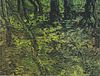 Van Gogh - Unterholz mit Efeu1.jpeg