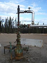 Wellhead-plunger lift.jpg