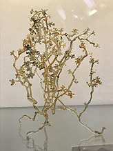 A glass sculpture by mycologist William Weston respresenting the phytopathogen Botrytis cinerea