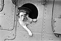 « Venus », un bulldog qui était la mascotte du navire HMS Vansittart (en) en 1941.