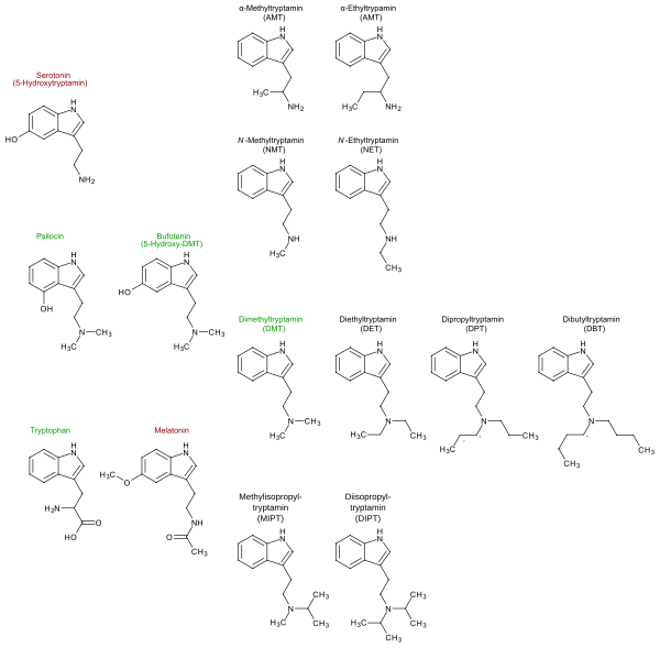 Körpereigene, pflanzliche und synthetische Tryptamine.