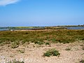 Paysage de l'île de Touzla.