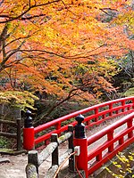 岩屋堂公園