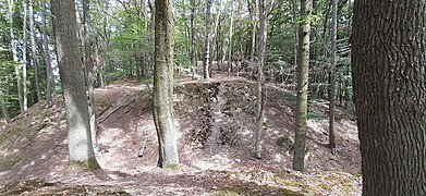 Blickrichtung Norden: die Vorburgen. Blick von der Hauptburg in den Halsgraben