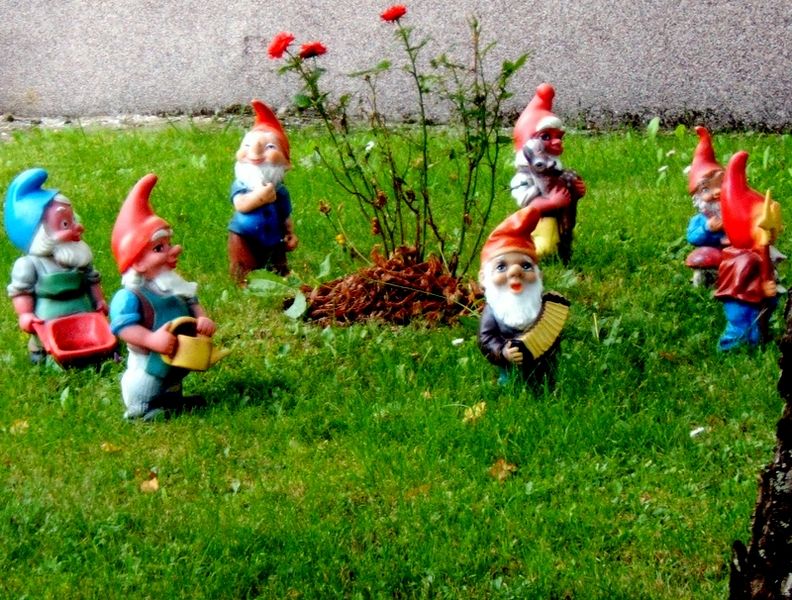 792px 7_garden_gnomes
