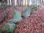 Allmend / Mühliberg, neuzeitliche Weidmauer