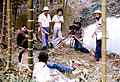 Excursionistas espiando a la pareja que está conversando en la reserva forestal, esperando una escena erótica.