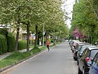 Breitensteinweg