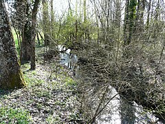 Au nord du bourg de Saint-Crépin-de-Richemont.