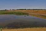 Miniatura per Llac Sarısu