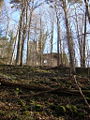 El castillo visto desde el bosque