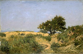 Plages et dunes (vers 1890), musée des Beaux-Arts de Bordeaux.