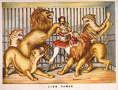 Lion tamer, in lithograph by Gibson & Co., 1873.