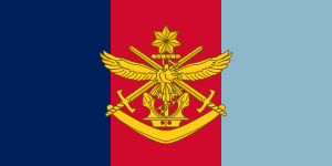Tri-service Flag