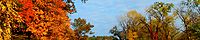 Осенняя листва на Черной реке clipped.jpg