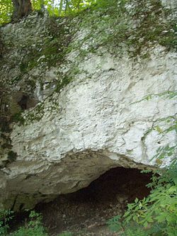A Felső-forrási-barlang bejárata 2004-ben