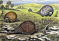 Glyptodon, Doedicurus, and Panochthus