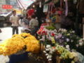 机利臣街上有卖花的档贩