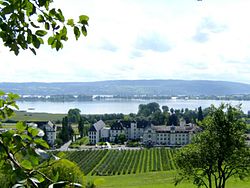 Skyline of Allensbach