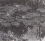 Monet - Wildenstein 1996, 1806.png