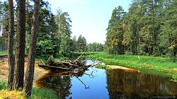 Река Нерская близ города Куровское
