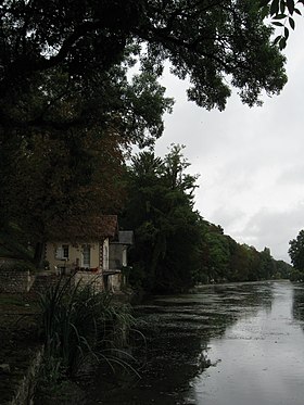 Olivet (Loiret)