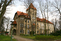 Osieczna Castle