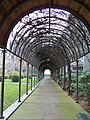 La pergola en hiver.