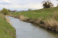 Cascina (Fluss)