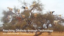 Presentation at DiversityCon 2017: Reaching Diversity through Technology