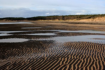 English: Ripples in the sand. The beach at New...