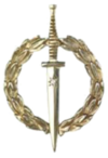 SANDF - BADGE - Qualification - Special Forces Operator's Proficiency Badge (Gold), MMD